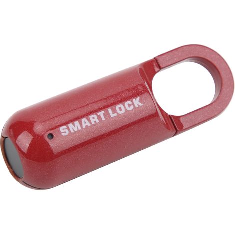 Serrure à empreintes digitales, antivol, sécurité, cadenas à empreintes digitales, Rechargeable par USB, pour étui à bagages (rouge)