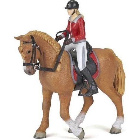 Cavallo con cavallerizza