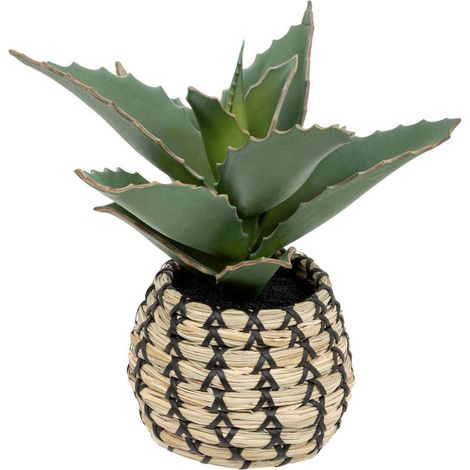 Plante Artificielle Samouraï "Pio" 26cm Naturel (1/3)