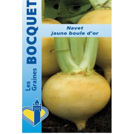 Navet 'Jaune Boule d'Or' le sachet de 2000 graines (5g) (1/2)