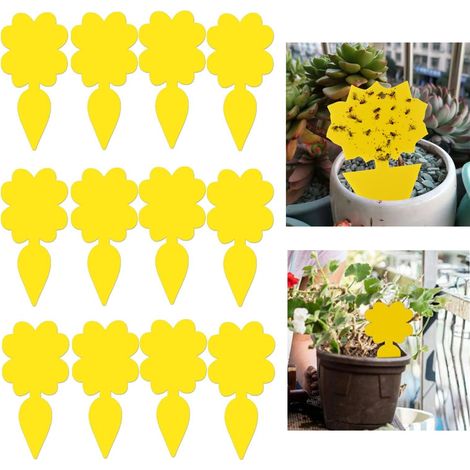 Piège collant pour insectes nuisibles sur plantes en pot (Flugfångare, lot de 12) (1/5)