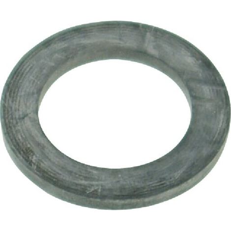 Junta t贸rica plana 20X30,7X2,5 EPDM ARAG G40014 (1/2)