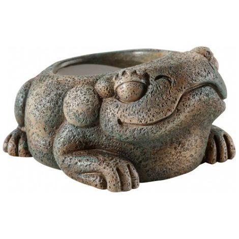 Exo Terra Bewer Azteca Frog