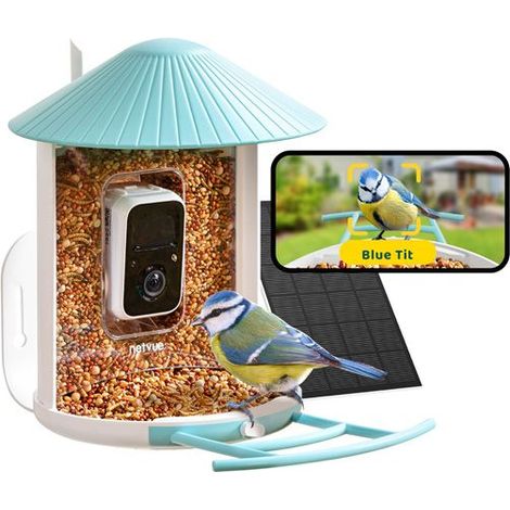 Mangeoire connectée avec caméra IA et panneau solaire Birdfy – Birdfy (1/5)