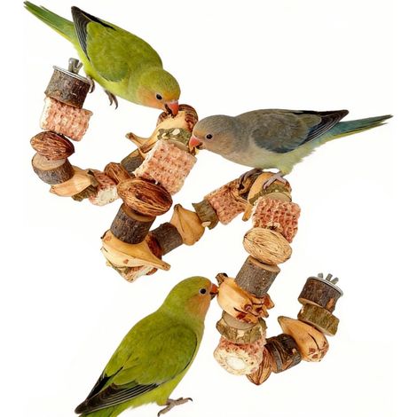 Perchoir Flexible en Bois Naturel pour Oiseaux - Jouet à Mâcher et à Grimper (1/5)