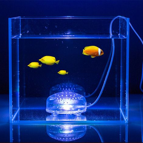 Lampe d'aération LED mini ronde étanche en plastique pour aquarium, submersible, à bulles d'air (lumière blanche et bleue) (1/5)