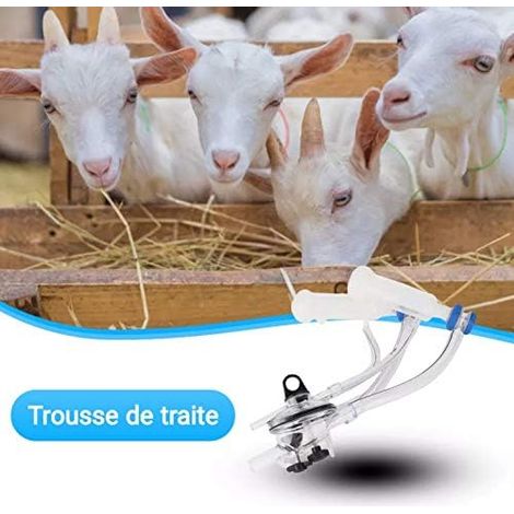 Kit pièces machine à traire brebis chèvre – tasses trayons pour moutons, brebis, chèvres – usage maison (1/5)