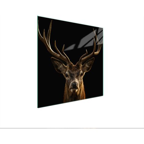 GLASSCHUTZPLATTE FÜR HERD 50x52 HIRSCH (1/5)