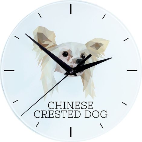 Chinese Crested - orologio da parete geometrico con foto e iscrizione di Art-Dog (1/4)