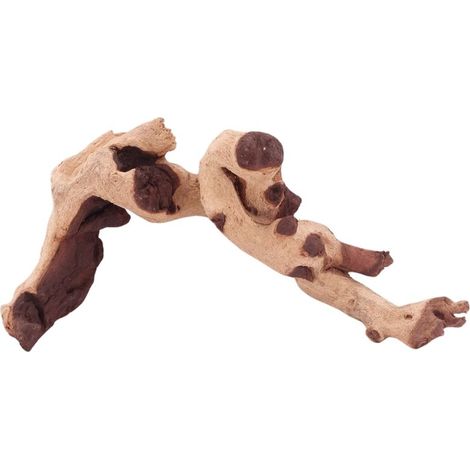 M Mopani Wurzel Nr.4777 Holz Deko Aquascaping