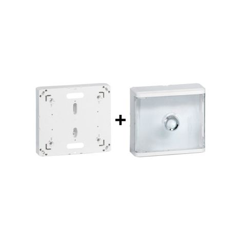 Legrand - Platine pour Disjoncteur branchement Seul + Habillage 13 Modules avec Porte Transparente - Ru00e9f. : 401191+401188 (1/4)