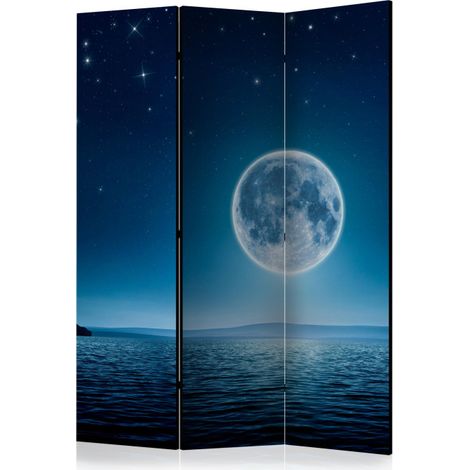 Paravent 3 Volets "Moonlit Night" 135x172cm (1/2)