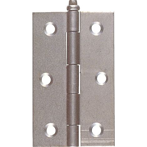 Coppia Cerniera Ferro Leggera Cm 6 Art. 88 60x38 Mm Prezzo Per 2 Cerniere (1/2)