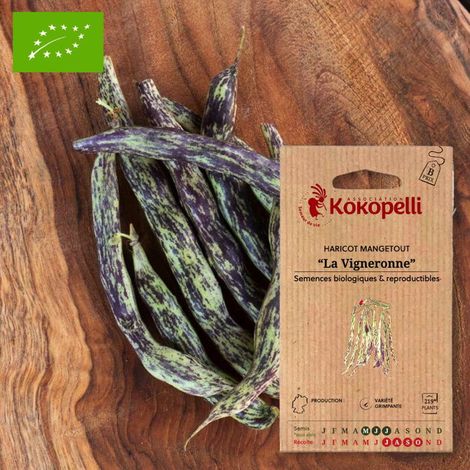 Haricot Mangetout À Rames La Vigneronne- Graines bio à semer