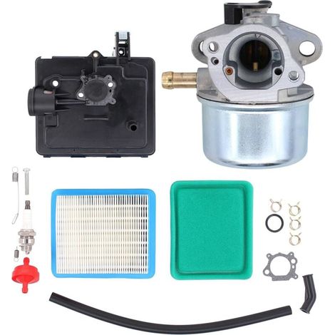 Kit carburateur pour petits moteurs 4 temps Briggs & Stratton 124T02, 124T05, 124T07, tondeuses à gazon. Remplace les références 799868, 498254, 497347, 497314 et 498170. (1/4)