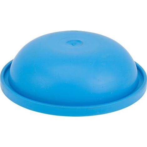 Membrane ANNOVI REVERBERI 550194AR