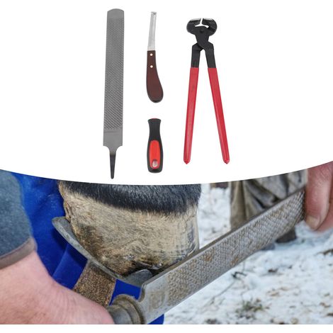 Kit de réparation pour sabots avec lime double face, modèle professionnel pour chevaux, bovins, ovins et ânes - Ensemble de 4 outils en acier