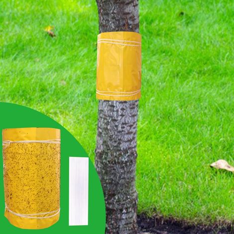 Anneau de Colle Auto - adhésif pour Arbres fruitiers 25cmx3 mètres, Anneau de Colle de Prunier de Fourmi de Chenille pour Arbres de Protection, Arbres fruitiers, Arbres cerisiers (1/5)