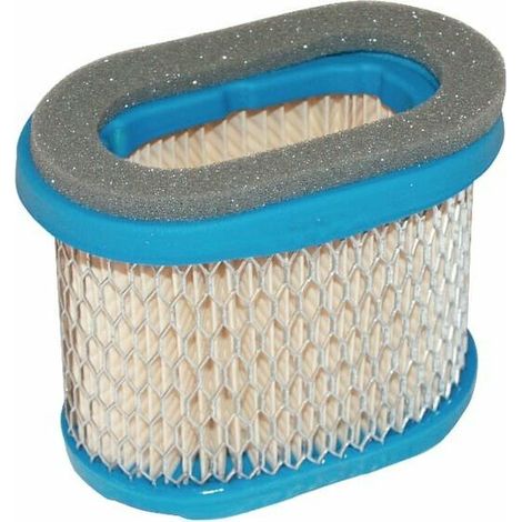 Filtre A Air - Compatible Briggs Et Stratton 697029 Et 690610 - Pour Moteurs Thermiques - 1 Unite (1/3)