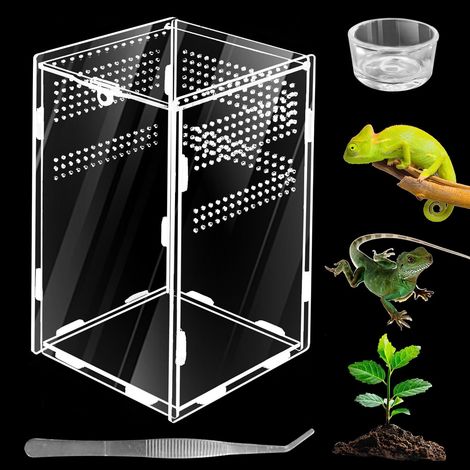 Terrarium en Acrylique Transparent pour Reptiles Cage d'Élevage pour Mini Lézard Caméléon Araignée Scorpion 12x12x20cm (1/5)