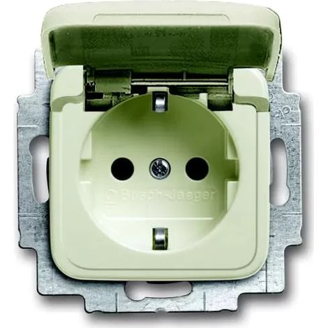 Busch-Jaeger 20 EUKB-212 SCHUKO® Steckdosen-Einsatz mit Klappdeckel (1/2)