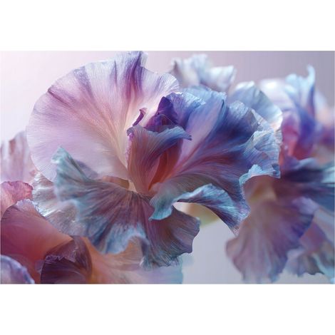 Moderne Fototapete Blumen Abstrakt – Großformat Wandtapete 150x105 cm – Design für Wohnzimmer & Schlafzimmer