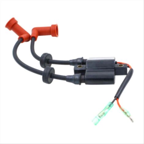 Compatible avec l'ensemble bobine d'allumage pour moteur hors-bord deux temps 6F6-85530-01 (1/5)