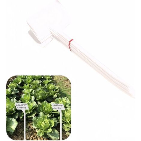 Paquete de 30 etiquetas/estacas para plantas, Superficie angulada para facilitar la lectura, Estacas para vivero (modelo en T), 30 x 9 x 4,5 cm (1/5)