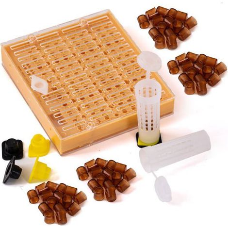 Kit Elevage Reines - Systeme Nicot - Pour Apiculture - 1 Boite + 100 Cupules + 10 Blocs Barres Cellules + 10 Cages (1/5)