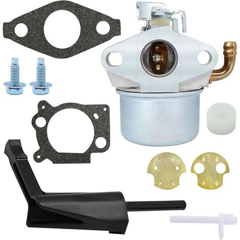 Carburateur Briggs & Stratton pour 214706 214706T 215369 215434 792970 020382
