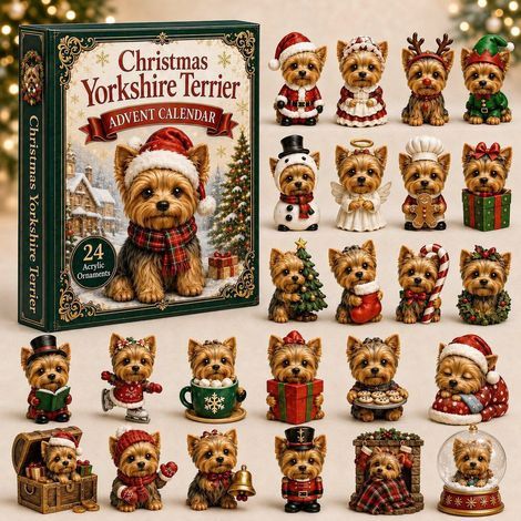 Yorkshire de Noël calendrier avent 2026 2D boîte surprise