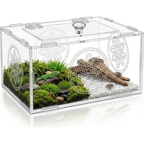 Terrarium en Acrylique pour Reptiles Cage d'Élevage Transparente Boîte d'Habitat avec Ventilation pour Lézards Insectes Araignées Grenouilles et Escargots 20x15x10cm (1/5)