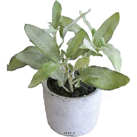 Herbe aromatique artificielle Sauge H 17 cm, D 16cm (1/3)