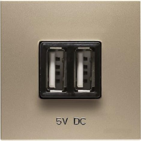 Zenit Prise De Recharge Usb 2 Modules-Champagne 2CLA228500N1901 ABB N2285CV