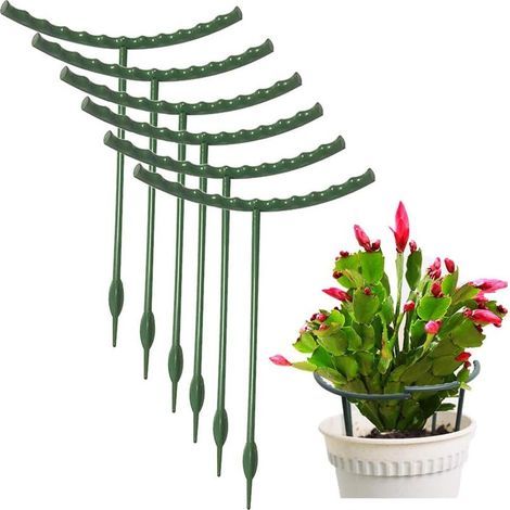 Lot de 10 tuteurs pour plantes en métal demi-rond, anneau de support de recherche, petit support de cage en plastique pour maison, fleurs, légumes, feuilles d'intérieur (5,5 x 5,5 pouces) (1/5)