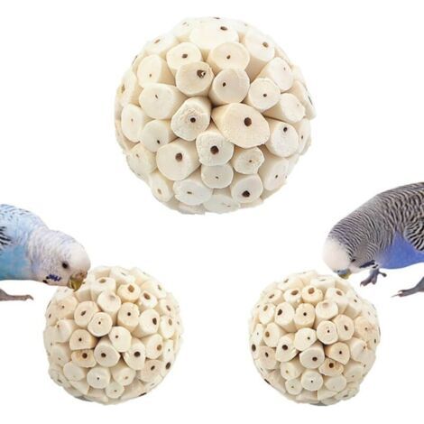 Balles à mâcher naturel pour oiseaux chinchillas hamsters solatiles plantes diamètre 6cm lot de 3 (1/4)