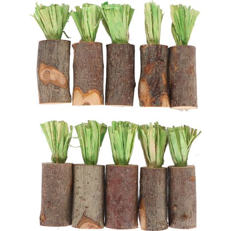 Bâtonnets à mâcher pour lapin, 10 pièces, comestibles, sûrs, empêchent les pierres urinaires, jouets décoratifs cochon d'inde pour Hamster, lapin, Type cosse de maïs vert (1/5)