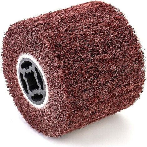Brosse Abrasive Brosse en Fibre Synthétique pour Rénovateur Extérieur, Ø120x100x19mm, Grain 120 (1/4)