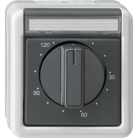 Gira 032130 Interrupteur électrique gris IP44 temporisé