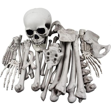 28 Skeleton Bones and Skull for Halloween Decoration or Spooky Cemetery Decoration (1/5)