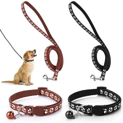 Conjunto de collar y correa ajustables para perros pequeños y gatos - 2 piezas - Cómodo y seguro (1/5)