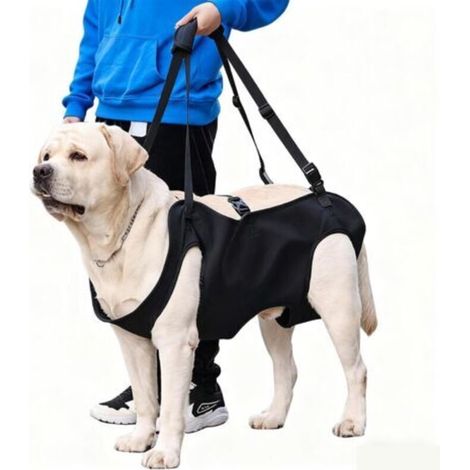 Hunde-Hebegeschirr/Transportgeschirr, Hunde-Hebegeschirr, Hunde-Hebegeschirr, Hinterbein-Sicherheitsstütze, für ältere Hunde, Gelenkverletzungen, Arthritis (M)