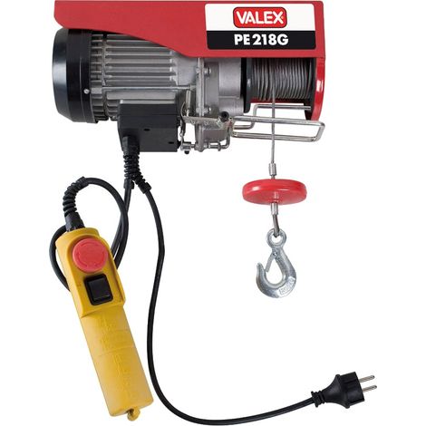 Palan électrique 200 kg PE218G 1655156 VALEX