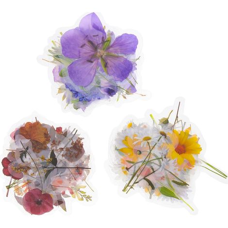 120 Feuilles Autocollants Plantes Pet pour Décoration (1/5)
