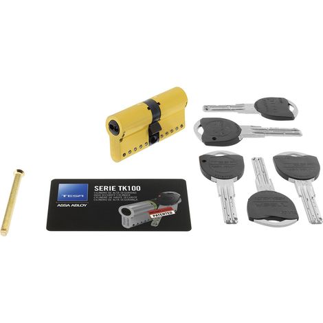 Tesa Assa Abloy TK153050L TK 100 - Cilindro ad alta sicurezza brevettato, in ottone, 30 x 50 mm (1/5)
