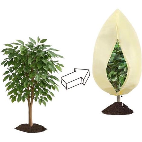 Housse de protection contre le gel pour plantes - tissu résistant au gel - plantes d'extérieur et plantes en pot - beige - 200 x 240 cm