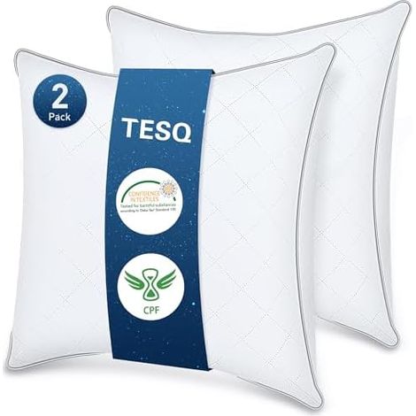 Oreiller 65x65 cm Lot de 2, Certifié Oeko-TEX (1/5)