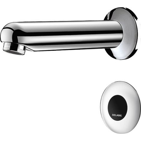 Delabie Vanne TEMPOMATIC Montage horizontale 155 Fixation rue 230/12V Sortie L170mm (1/5)