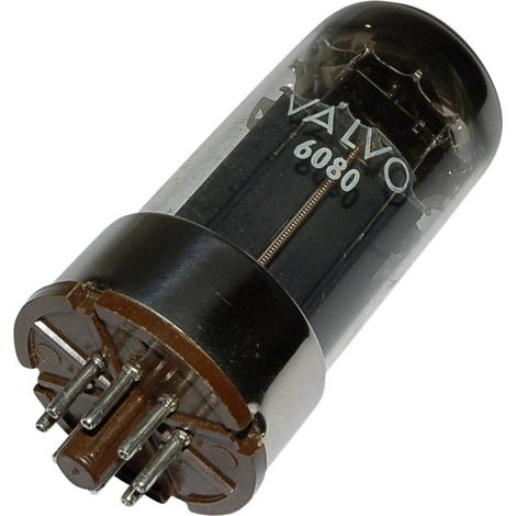 BTB Vertrieb 6080 = 6 A S 7 W Valvola termoionica Triodo doppio 100 V 100 mA Numero Poli (num): 8 Attacco: Octal Conten
