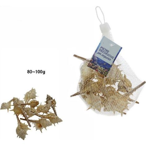 Trade Shop - Sacchetto Di Conchiglie Mare Arredo Decorazione Per Acquario Da 80-100 Gr. 70283 -